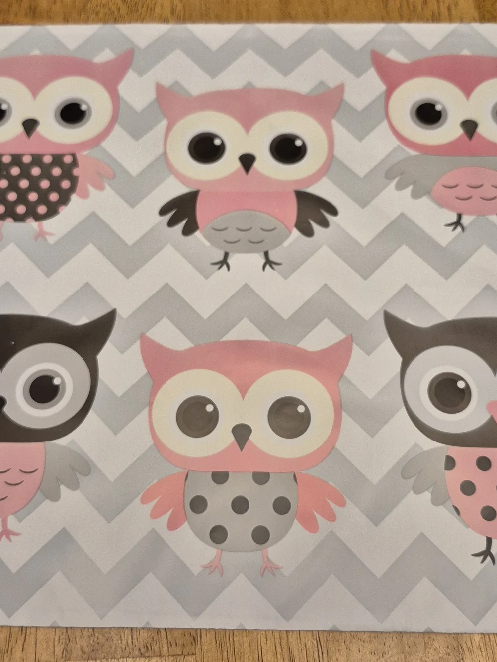Poly Mailer Set Cute Owls (25) 10x13 Poly + (25) Vinyl Owl Stickers Chevron